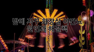 밤에 자꾸 화장실… 야간뇨 원인과 해결책