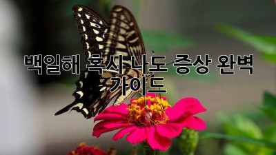 😷 백일해, 혹시 나도? 증상 완벽 가이드 💯